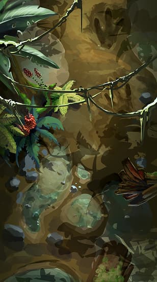 Canopée de la jungle